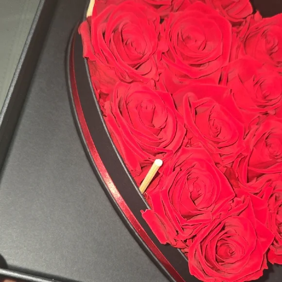 Forever Roses Set - Picture 8 of 15